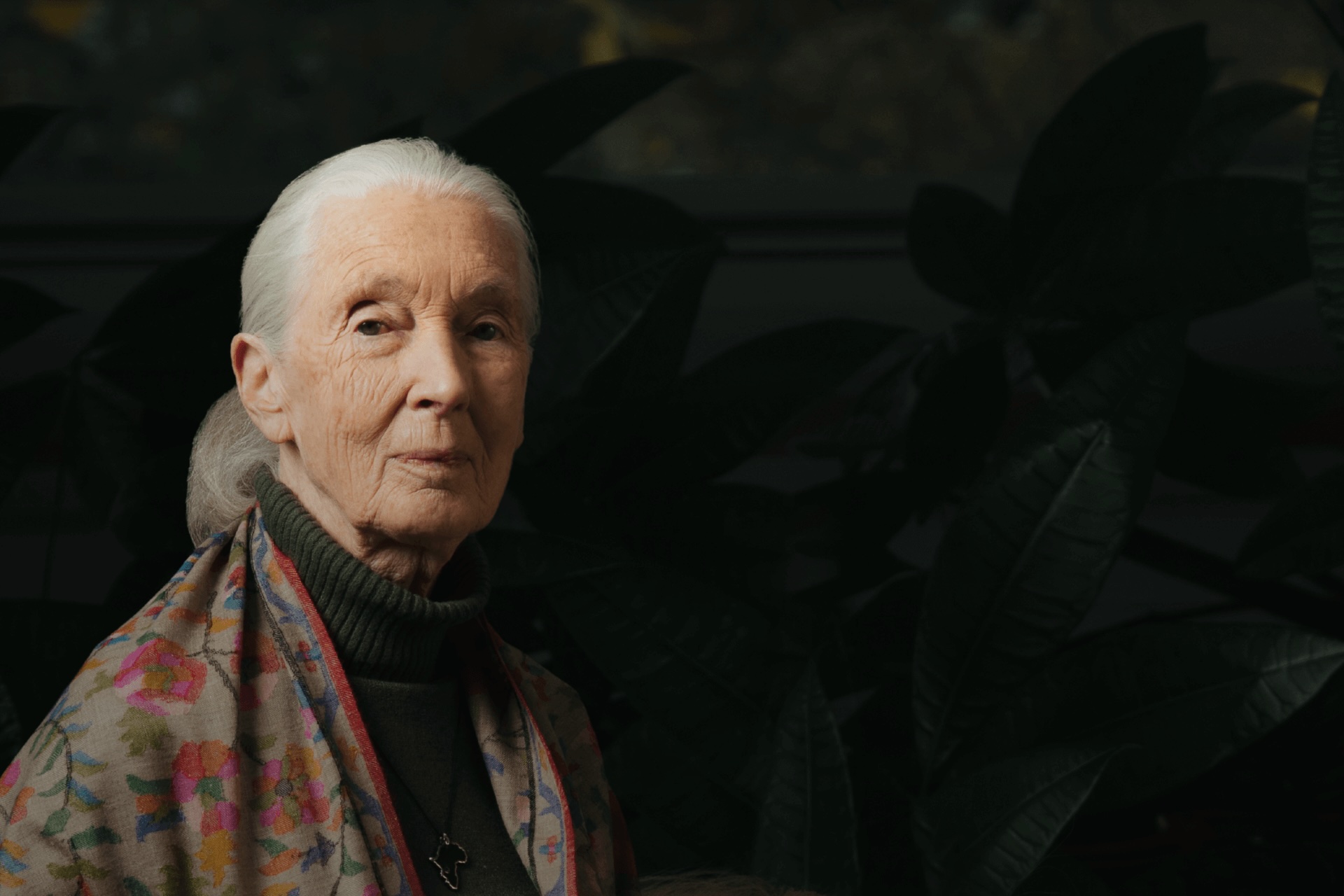 【新聞稿】向珍古德博士致敬